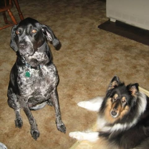 Meet your Posher, Laurie - Picture 1 of 1